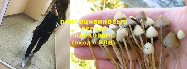 кокаин Богданович