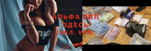 тгк Белокуриха