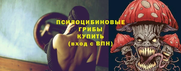 гашик Беломорск