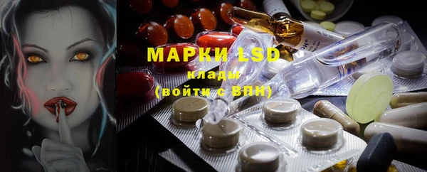 гашик Беломорск