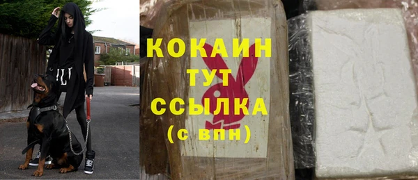гашик Беломорск