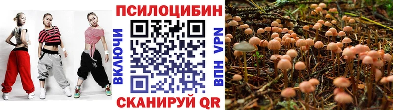 Псилоцибиновые грибы Cubensis Шатура